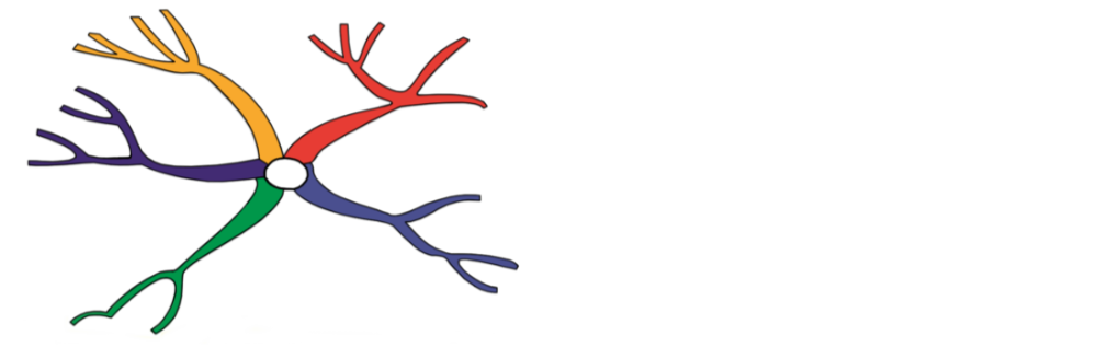 Tony Buzan Training