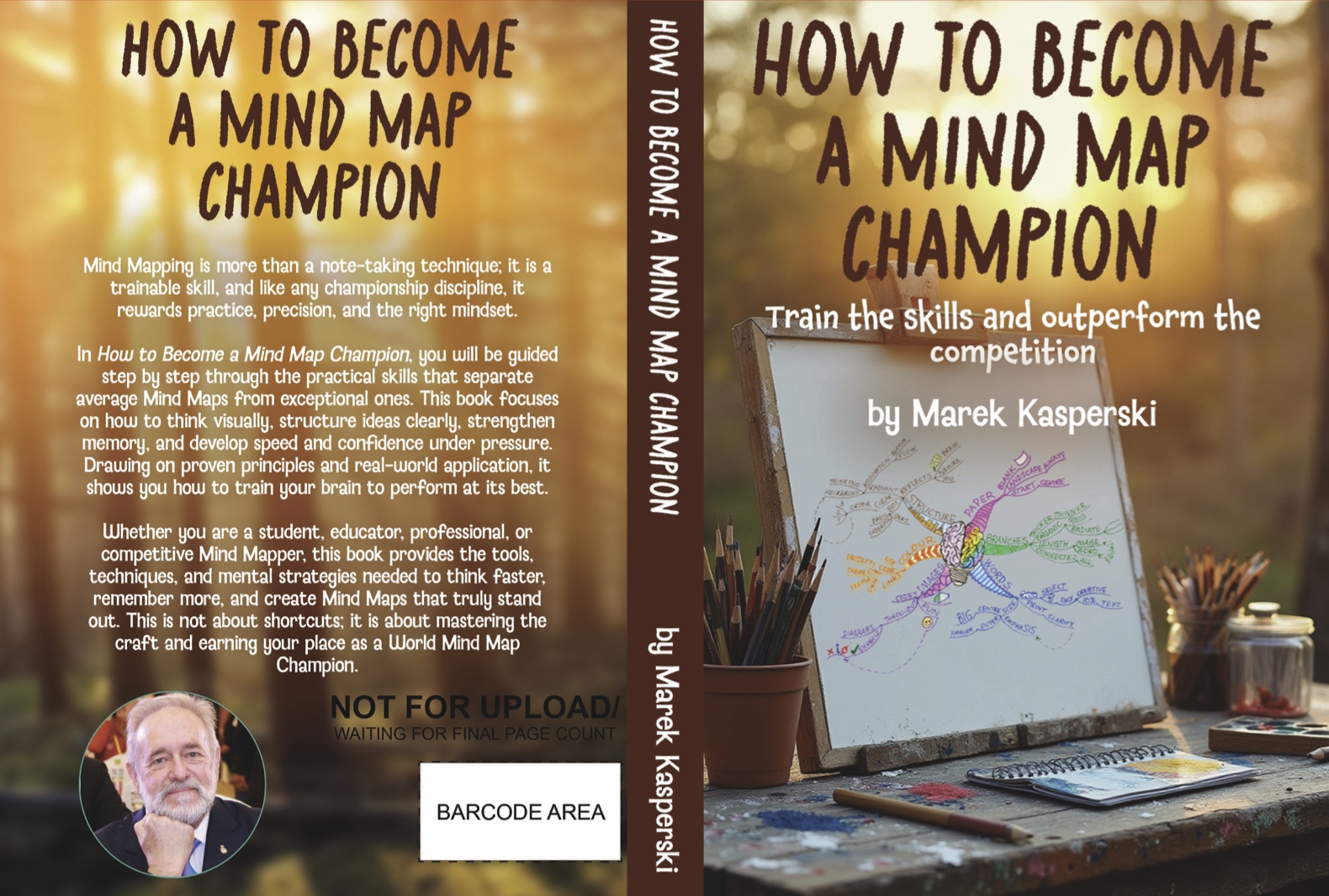 How to Become a Mind Map Champion
